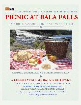 Picnic at Bala Falls Tomorrow